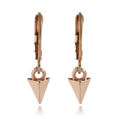 Brinco Argolinha - Boutique da Beleza